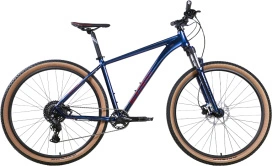 L королевский синий/бургунди